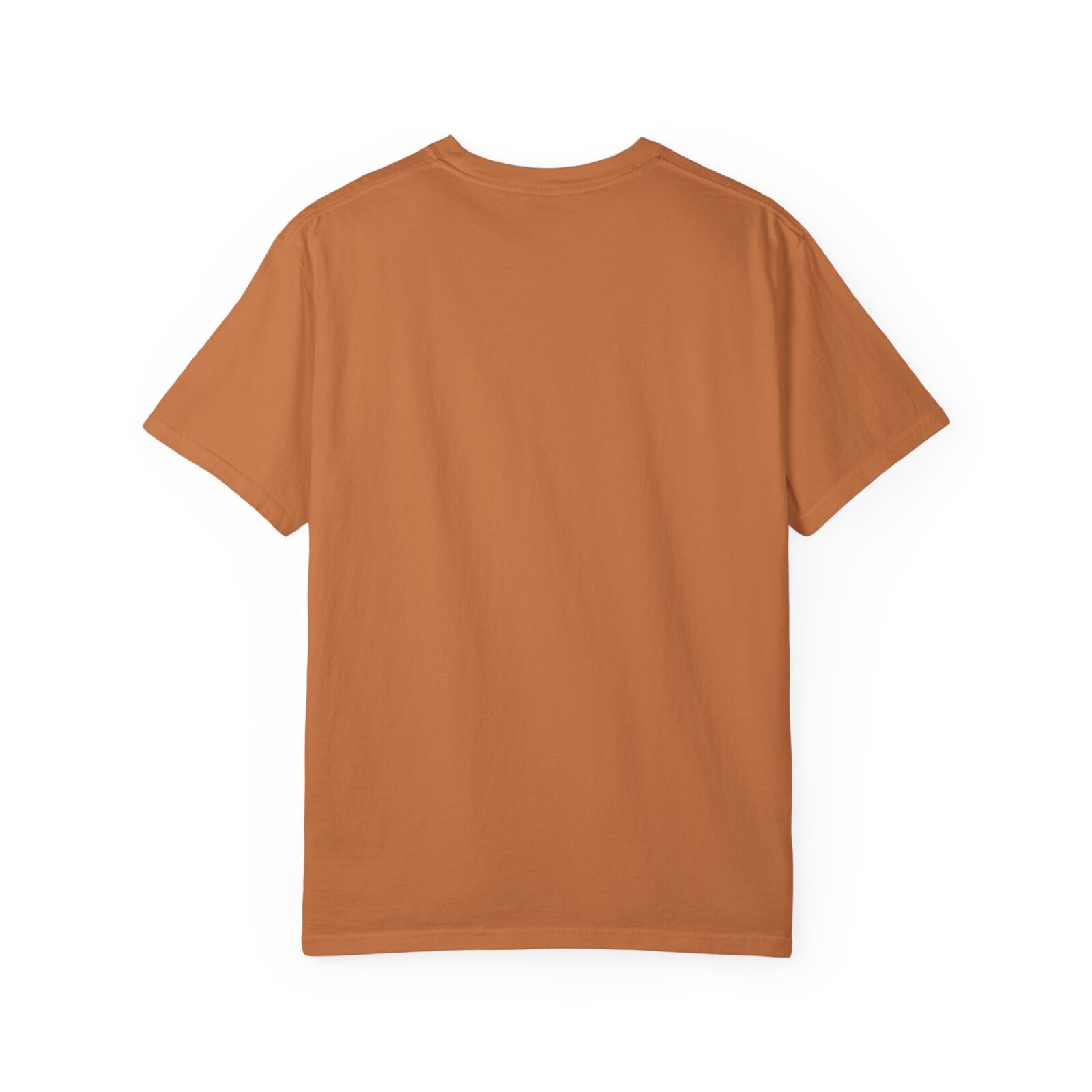 Capybara Shirt – Vintage Western Graphic Tee on Comfort Colors® - Image 18