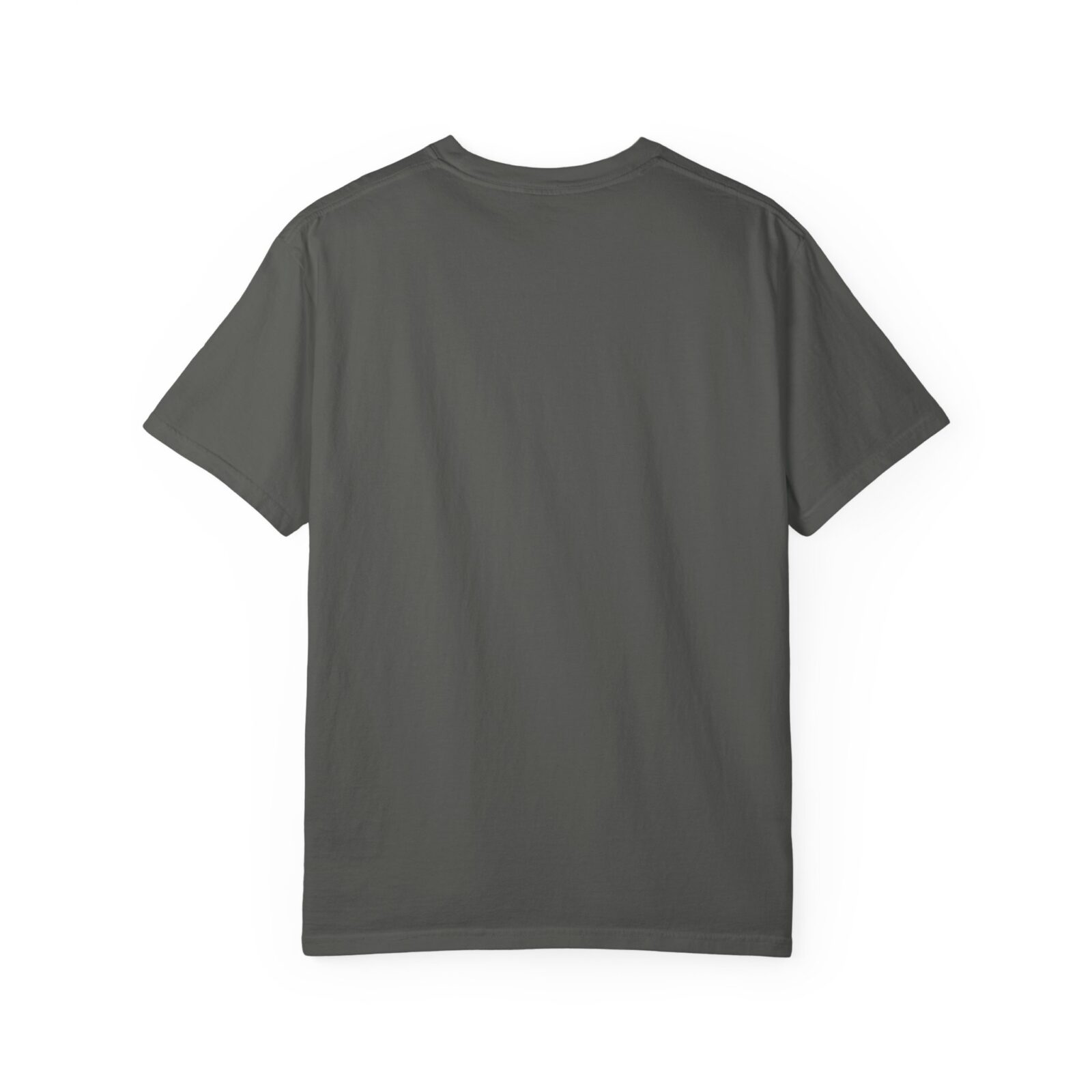 Capybara Shirt – Vintage Western Graphic Tee on Comfort Colors® - Image 30